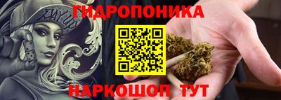 СК Тара
