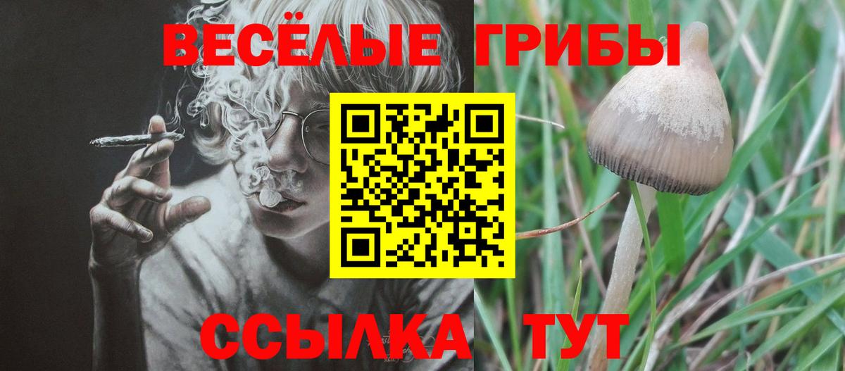 Псилоцибиновые грибы Cubensis Заволжье