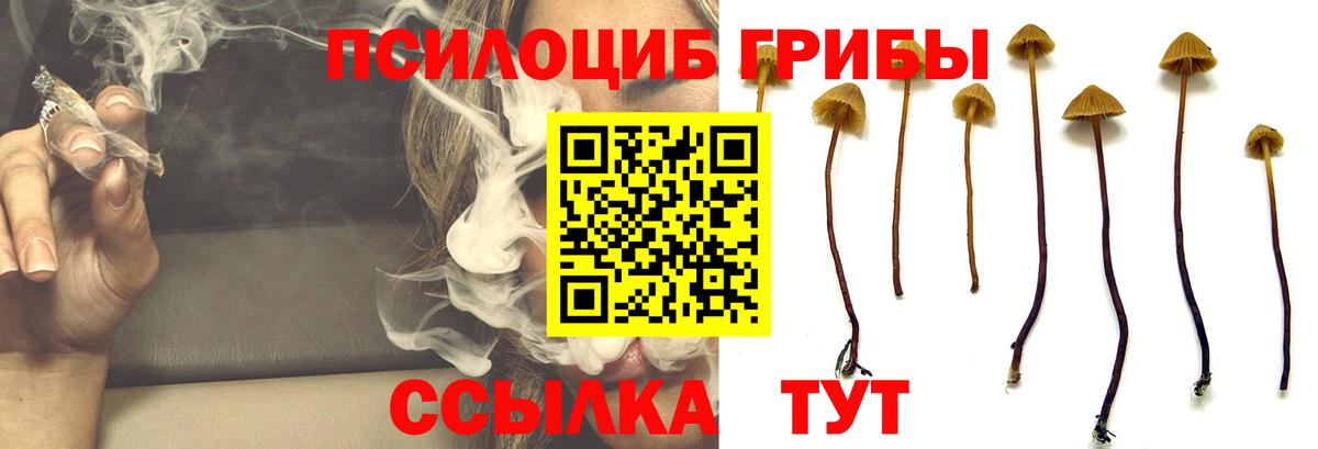 Галлюциногенные грибы Cubensis  Вход с VPN  Галлюциногенные грибы GOLDEN TEACHER  Заволжье 